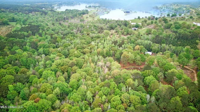 drone / aerial view with a wooded view and a water view