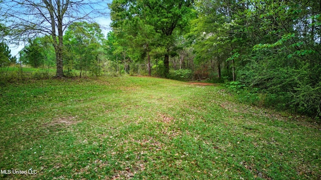 view of yard with a forest view