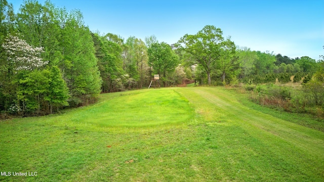 view of yard featuring playground community