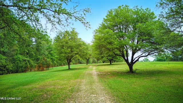 view of road