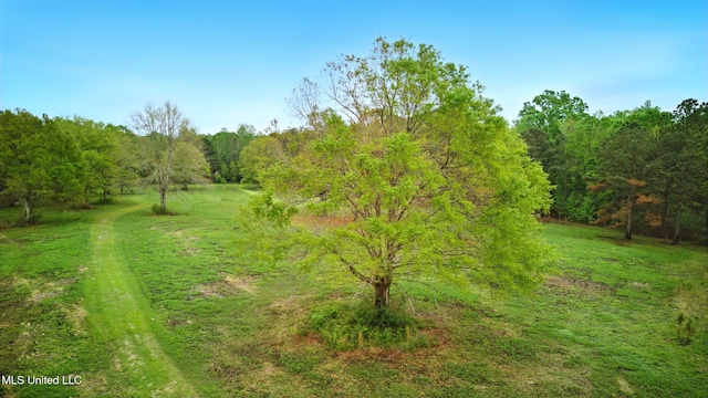 view of yard with a wooded view