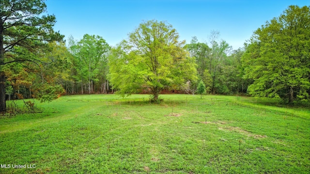 view of yard with a view of trees