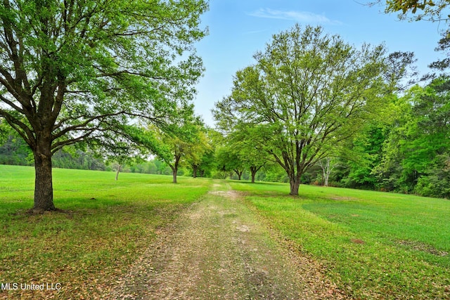 view of home's community featuring a yard