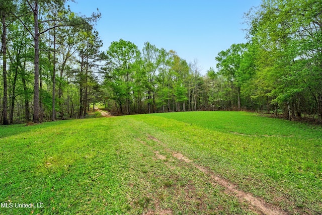 view of yard with a forest view
