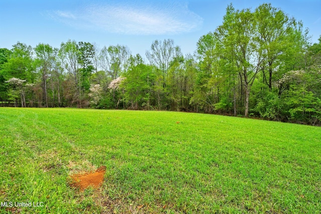 view of yard with a view of trees