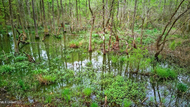 view of local wilderness with a wooded view and a water view
