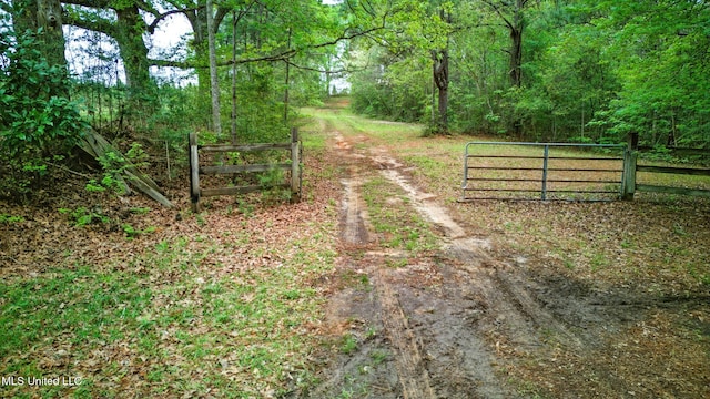 view of street with a wooded view and a gated entry