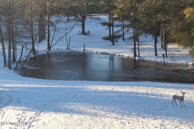 view of yard covered in snow