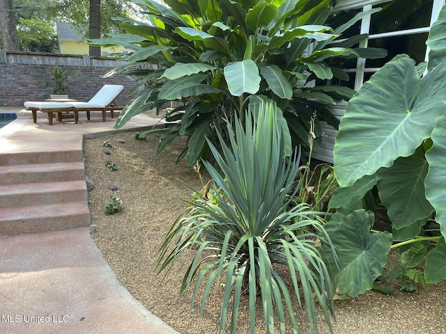 view of yard featuring a patio