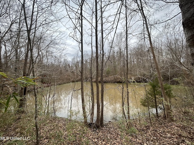 view of water feature