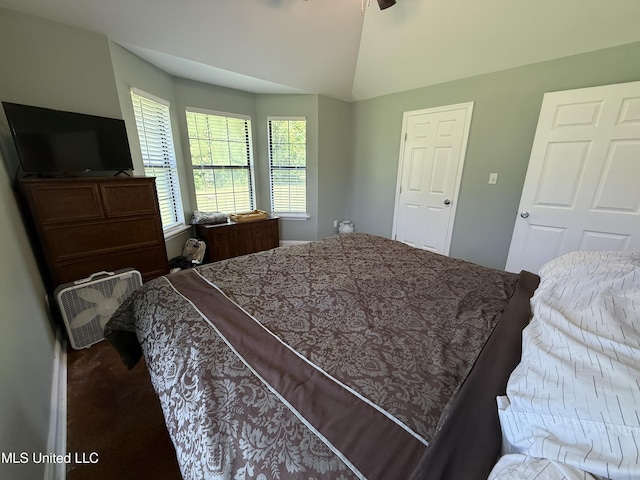 bedroom with lofted ceiling and carpet floors