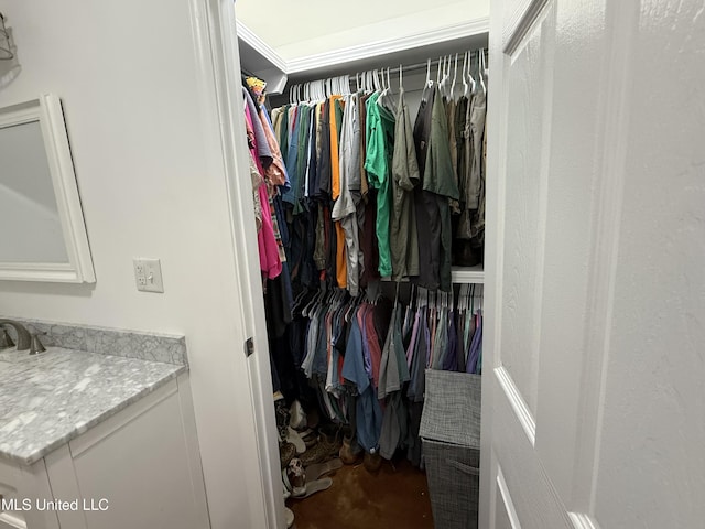 view of walk in closet