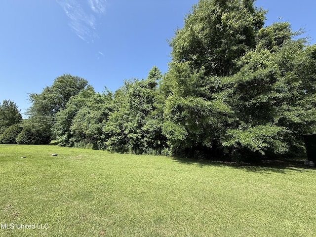 view of grassy yard