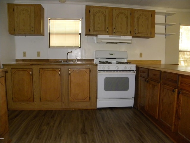 kitchen with brown cabinets, dark wood-style flooring, white gas range oven, a sink, and under cabinet range hood