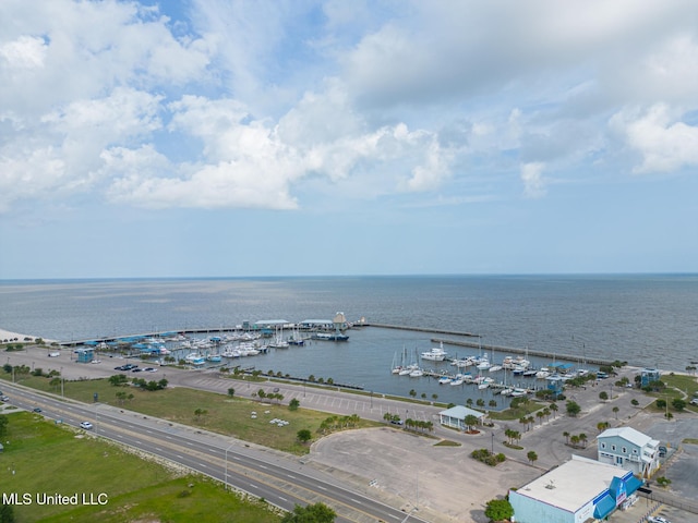 120 Beachview Dr, Pass Christian, MS 39571 - water view with numerous boat docks