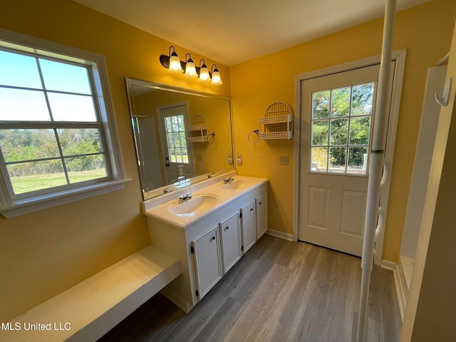 bathroom with vanity and hardwood / wood-style flooring