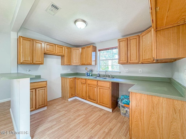 kitchen with a sink, visible vents, light wood-type flooring, and a textured ceiling