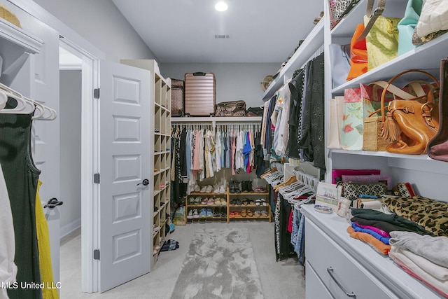 view of spacious closet