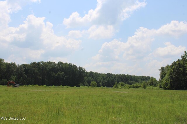 15001 Fairview Rd, Byhalia, MS 38611