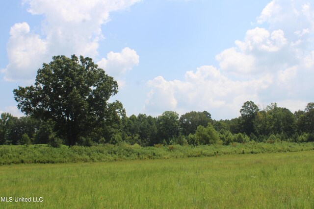 15001 Fairview Rd, Byhalia, MS 38611