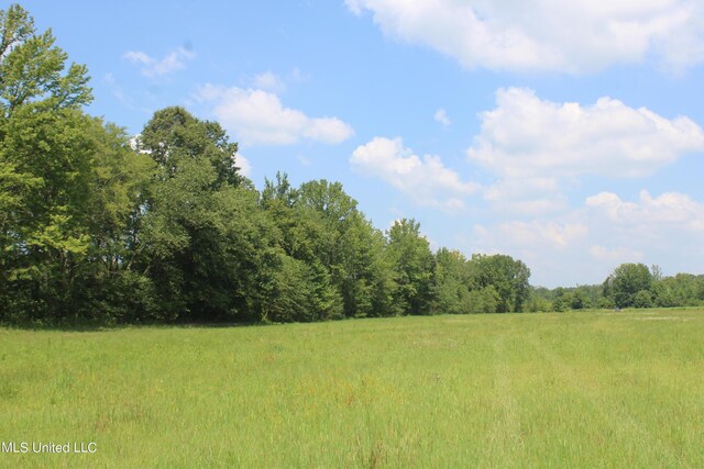 15001 Fairview Rd, Byhalia, MS 38611