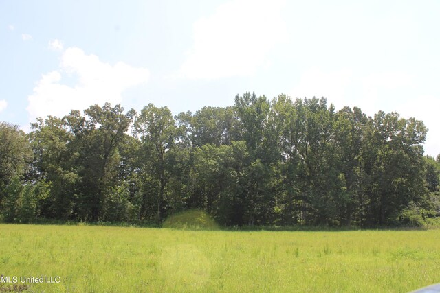 15001 Fairview Rd, Byhalia, MS 38611