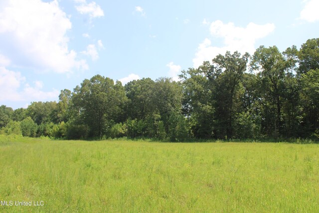 15001 Fairview Rd, Byhalia, MS 38611