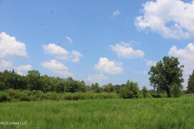 15001 Fairview Rd, Byhalia, MS 38611