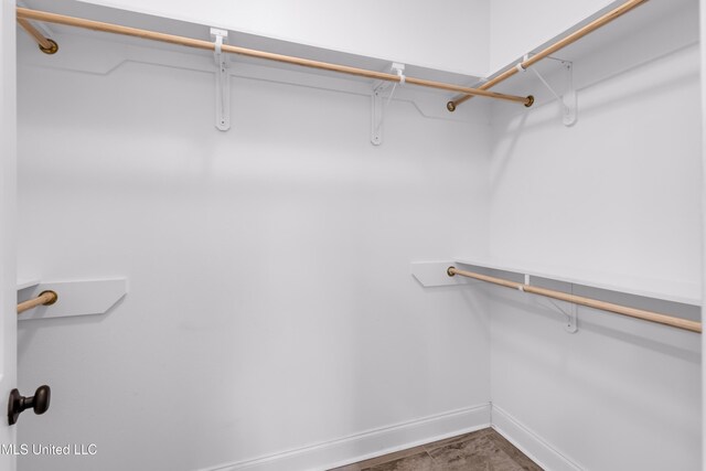 832 Reunion Place Cir, Biloxi, MS 39532 - view of spacious closet