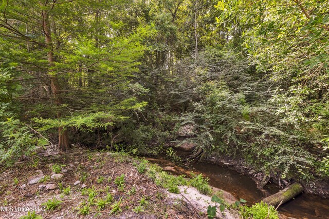 832 Reunion Place Cir, Biloxi, MS 39532 - view of tree filled area