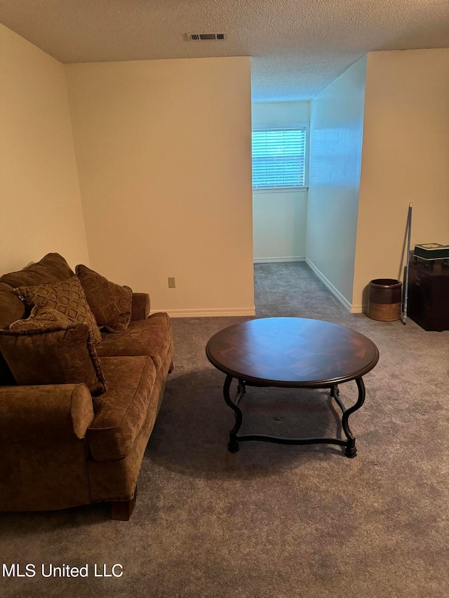 living room featuring a textured ceiling and carpet floors