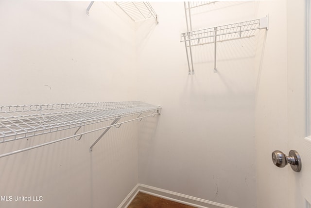 view of walk in closet