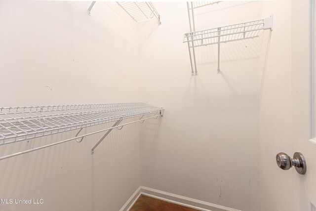 159 Basswood Cir, Brandon, MS 39047 - view of spacious closet