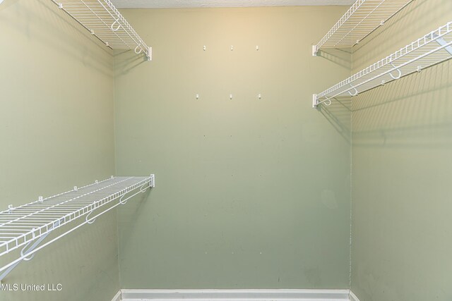 159 Basswood Cir, Brandon, MS 39047 - view of walk in closet