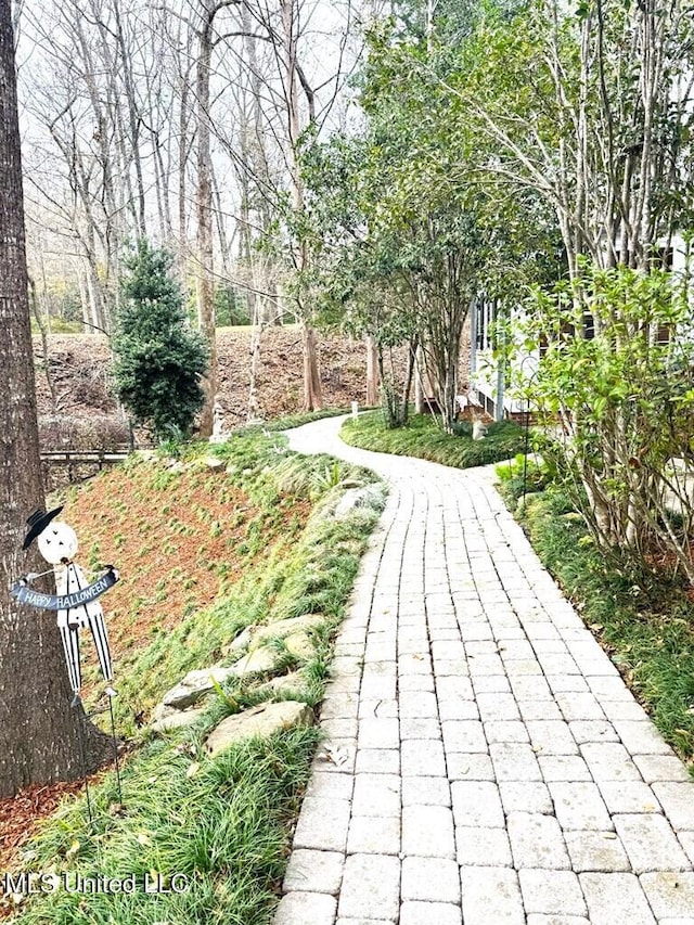 48 Fairway Dr, Natchez, MS 39120 - view of surrounding community