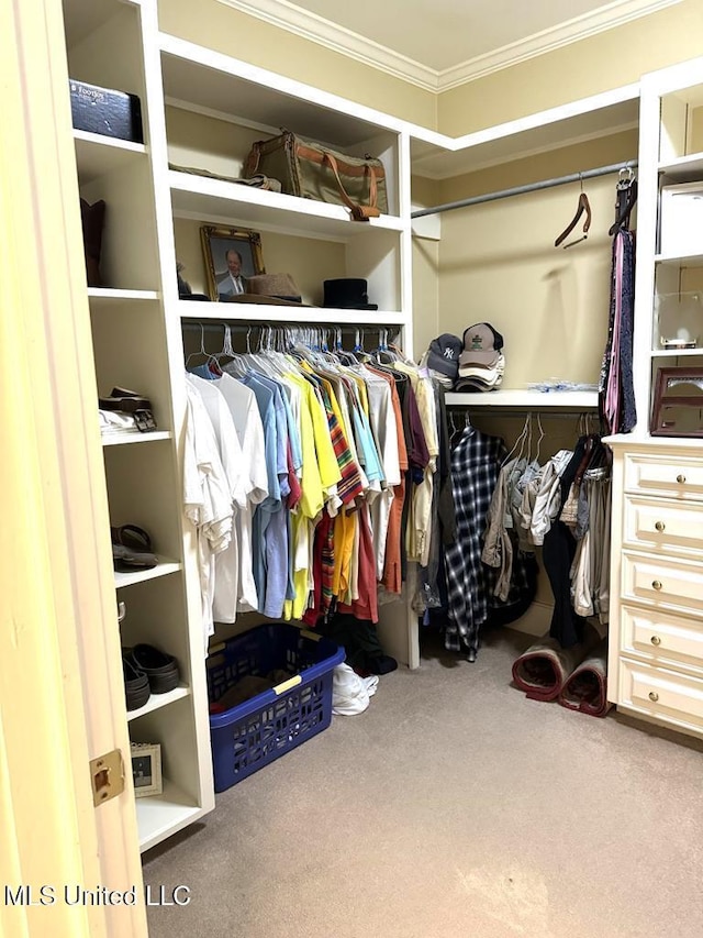 48 Fairway Dr, Natchez, MS 39120 - spacious closet featuring carpet flooring
