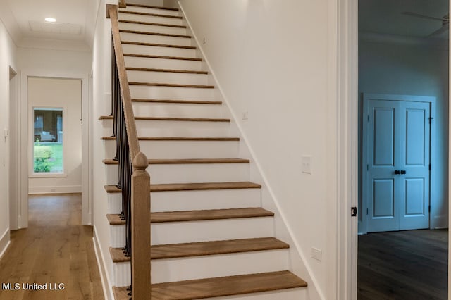 stairway with hardwood / wood-style flooring