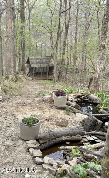 view of yard featuring a forest view and an outbuilding