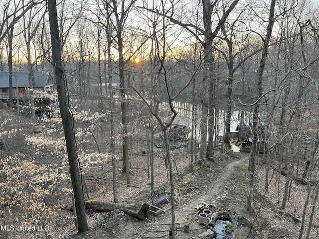 view of local wilderness