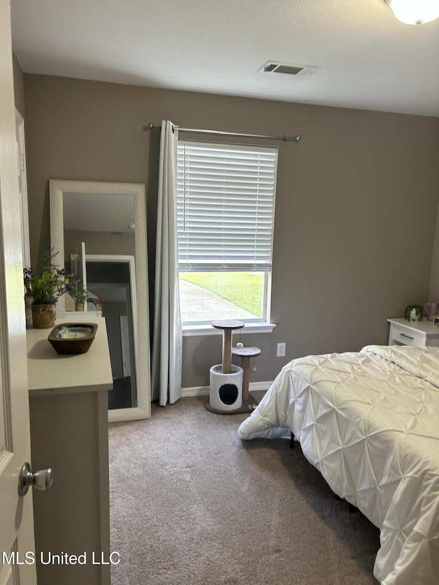 15501 Quail Creek Cv, Diberville, MS 39540 - bedroom featuring carpet floors