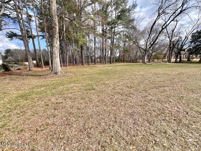 Listing photo 2 for 0 Old Orchard Rd, Gluckstadt MS 39110