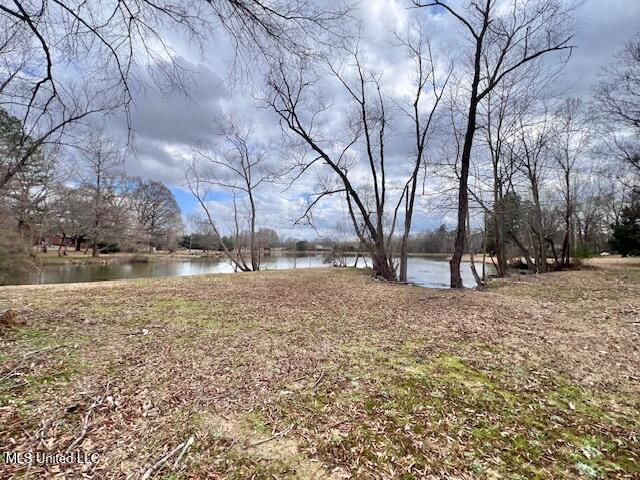 Listing photo 3 for 0 Old Orchard Rd, Gluckstadt MS 39110