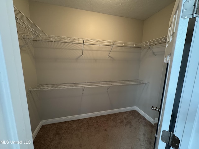 spacious closet with carpet floors