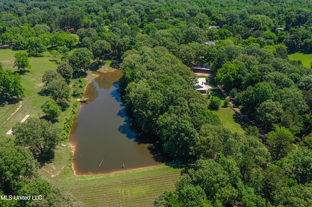 4005 Warriors Trl, Vicksburg, MS 39180 - overview of rural landscape featuring a nearby body of water and a heavily wooded area