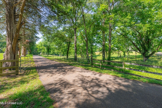 4005 Warriors Trl, Vicksburg, MS 39180 - view of asphalt road