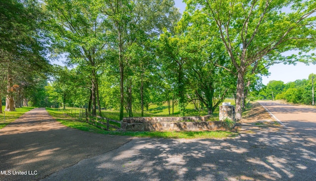 4005 Warriors Trl, Vicksburg, MS 39180 - view of road