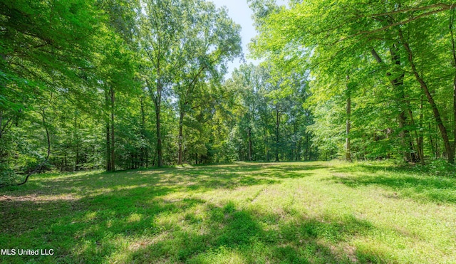 4005 Warriors Trl, Vicksburg, MS 39180 - view of yard with a forest view