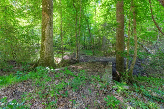 4005 Warriors Trl, Vicksburg, MS 39180 - view of tree filled area