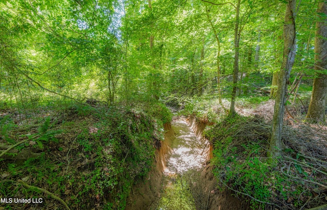 4005 Warriors Trl, Vicksburg, MS 39180 - view of nature
