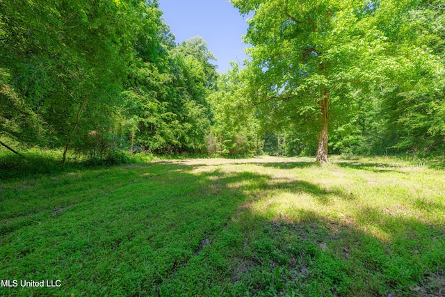 4005 Warriors Trl, Vicksburg, MS 39180 - view of yard featuring a view of trees